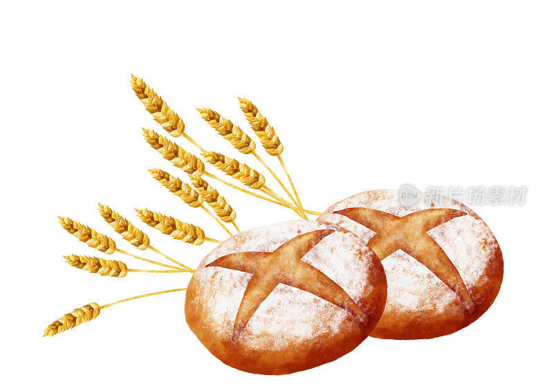乡村面包(Pain de campagne)和小麦由水彩画触摸插图。
